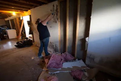 Worker pulling flood damaged drywall off wall studs with pink insulation on the floor